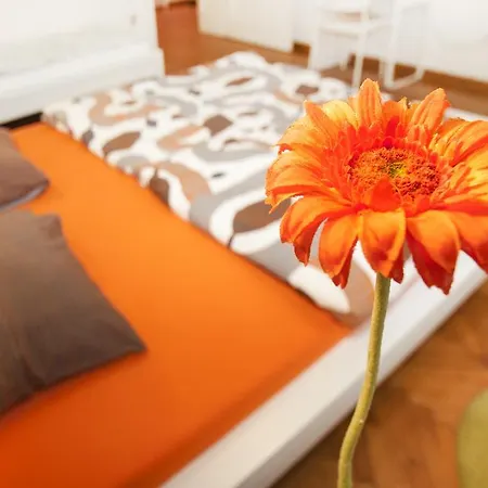 Apartment Bridge Belgrade